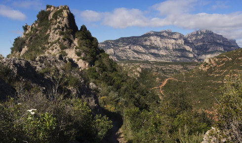 Weg nach Sant Salvador. Foto Pere Grimau