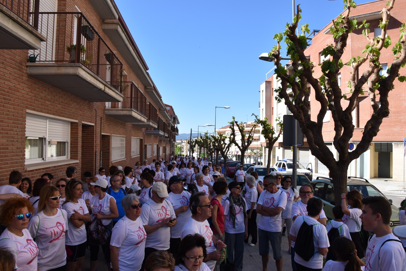 Caminada "Suma't al rosa". Foto: Jordi López Guevara (Tot Olesa Imatges)