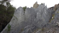 Ribes Blaves. Photo : Joan Soler Gironès