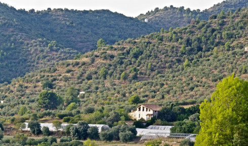 Entorn i Masia de Can Llimona. Foto: Jaume Morera Guixà