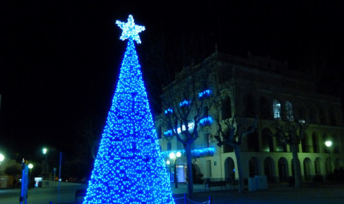 Il·luminació nadalenca a l'Ajuntament. Foto: Georgina Muñoz