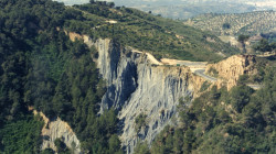 Ribes blaves foto del cmro propietat camprubi jaume morera ok